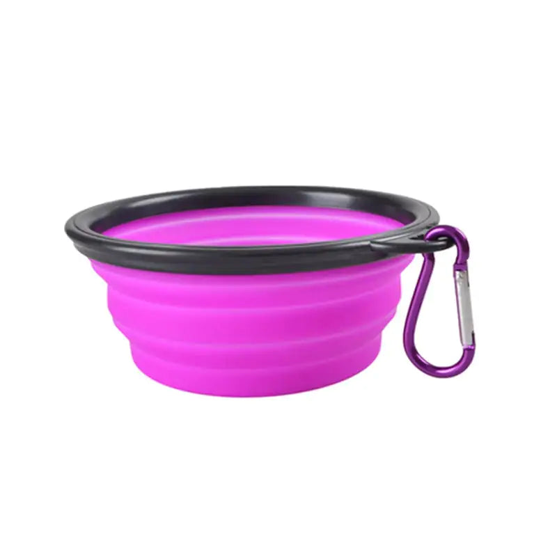 Foldable Dog Bowl
